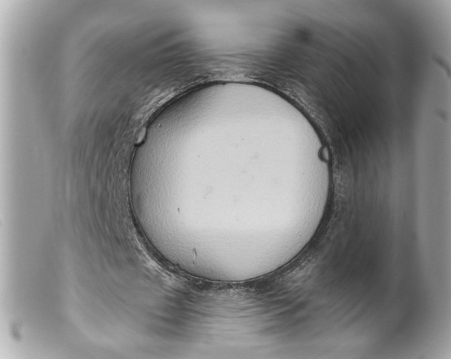 X0000099540433200805301503