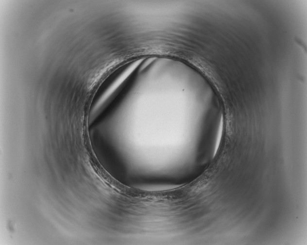 X0000099540434200805301503