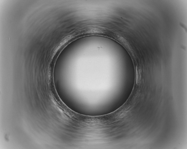 X0000099540435200805301504