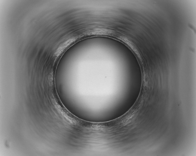 X0000099540437200805301504