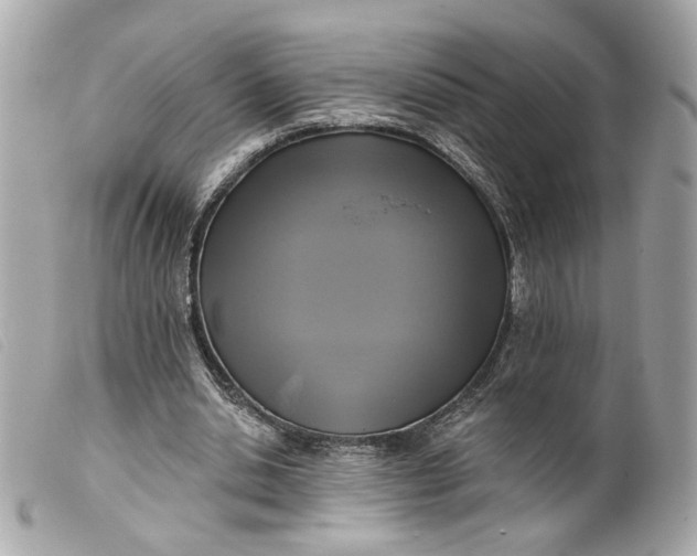 X0000099540438200805301504