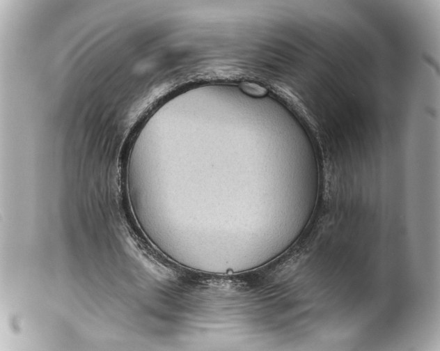 X0000099540439200805301504