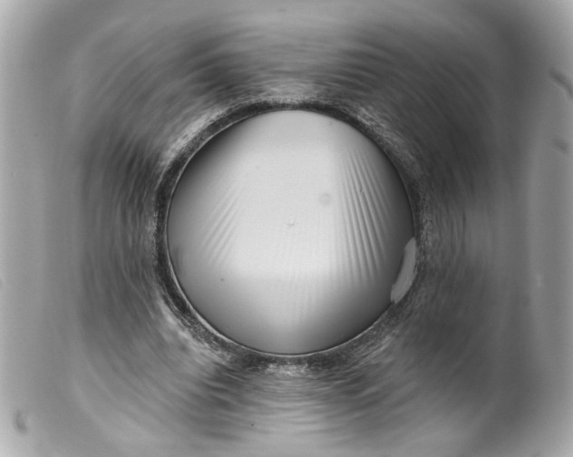 X0000099540440200805301504