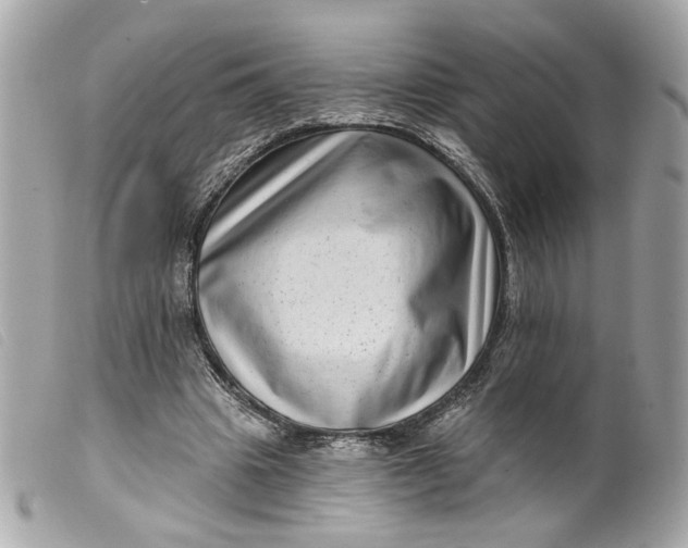 X0000099540441200805301504