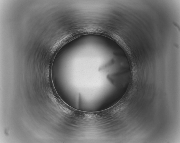 X0000099540442200805301504