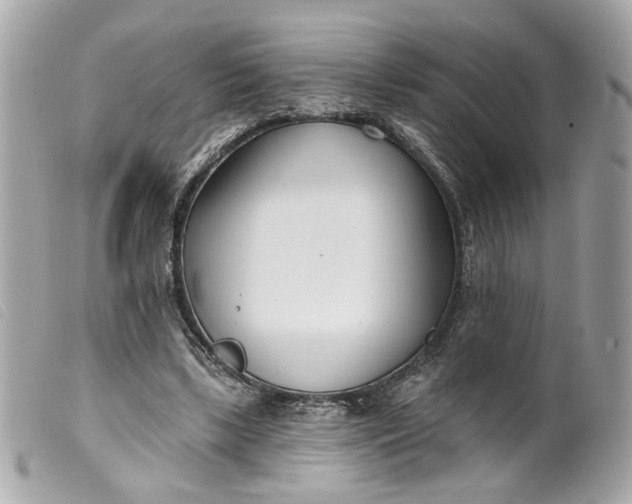 X0000099540443200805301504