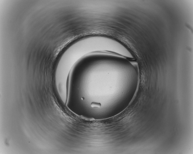 X0000099540444200805301504