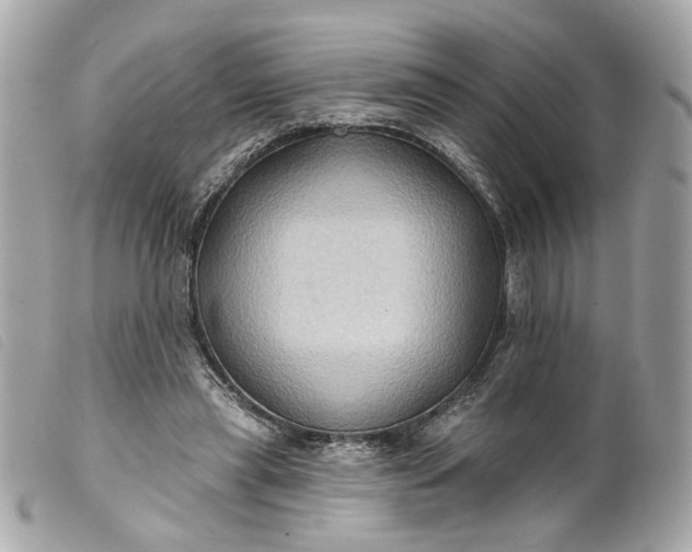 X0000099540445200805301504