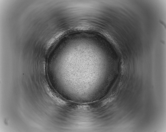 X0000099540446200805301504