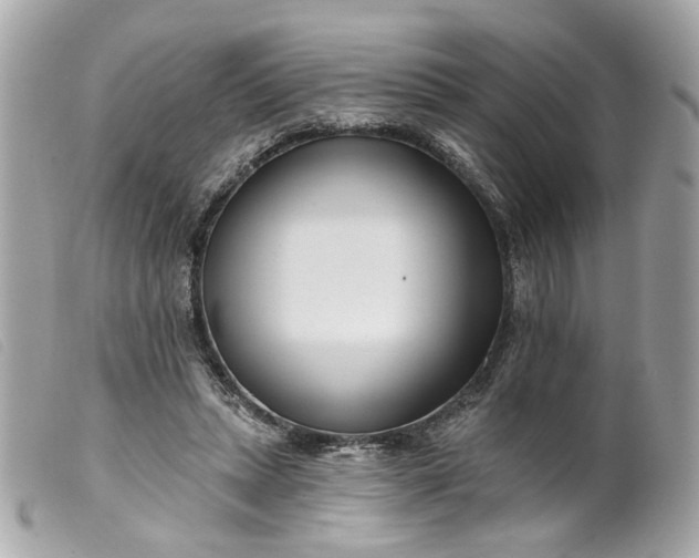 X0000099540447200805301504