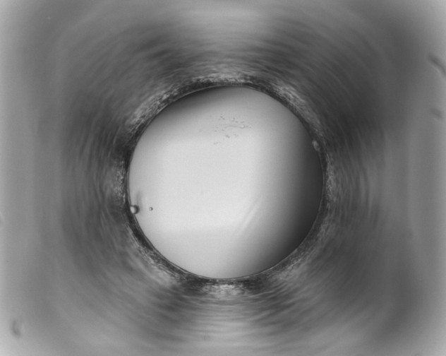 X0000099540449200805301504