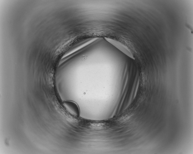 X0000099540450200805301504