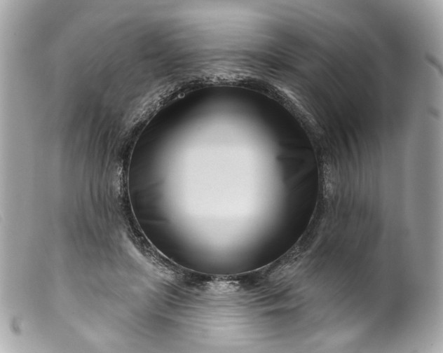 X0000099540451200805301504