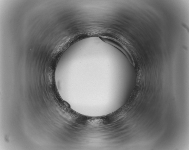 X0000099540452200805301504