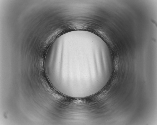 X0000099540453200805301504