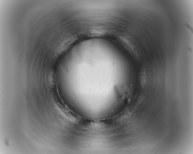 X0000099540455200805301504