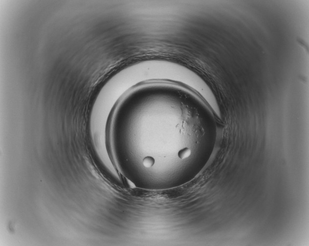 X0000099540456200805301504