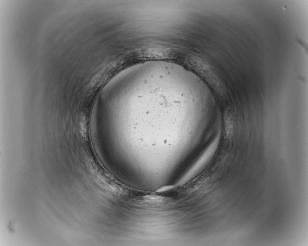 X0000099540457200805301504