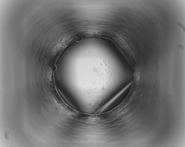 X0000099540458200805301504