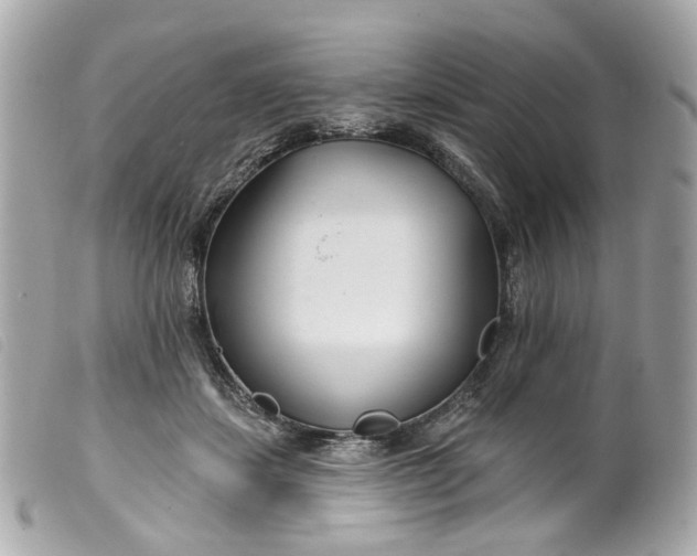 X0000099540459200805301504