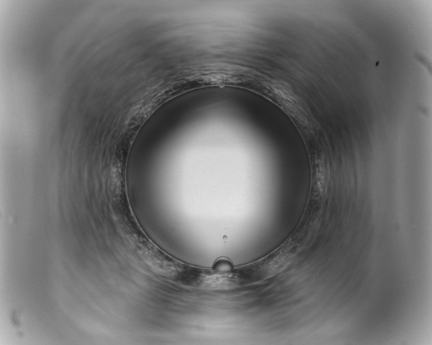 X0000099540461200805301504