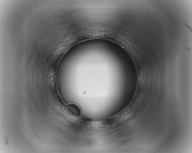 X0000099540462200805301504