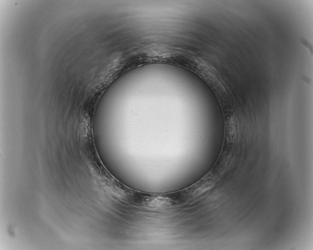 X0000099540463200805301504