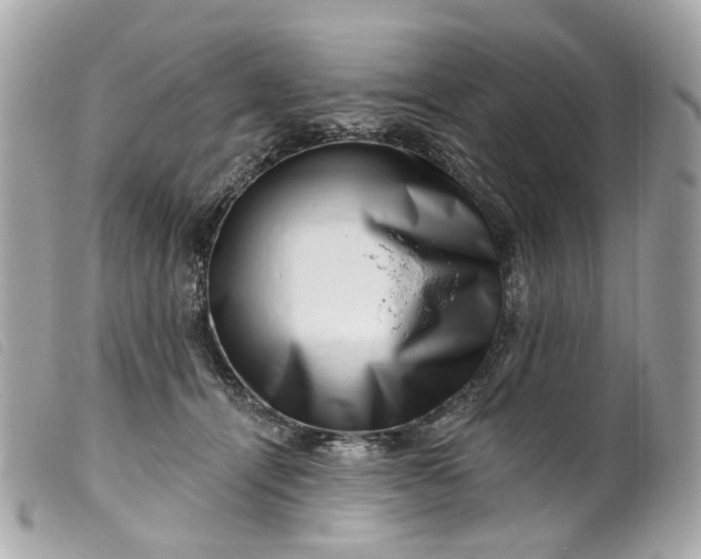 X0000099540464200805301504