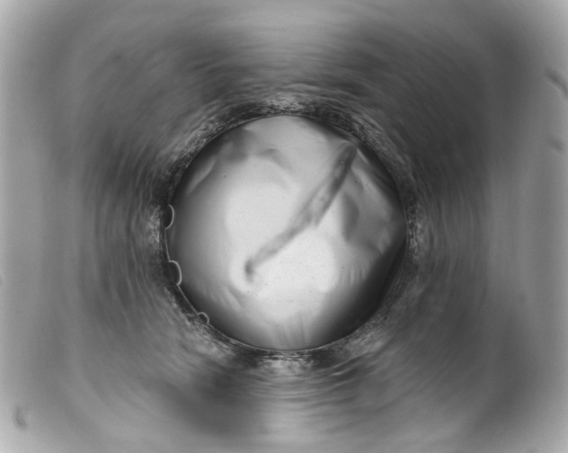 X0000099540466200805301504