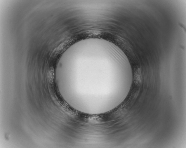 X0000099540468200805301504