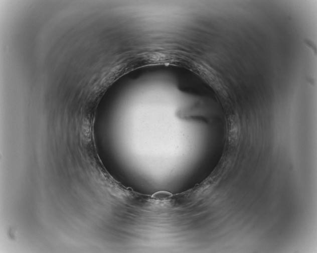 X0000099540469200805301504