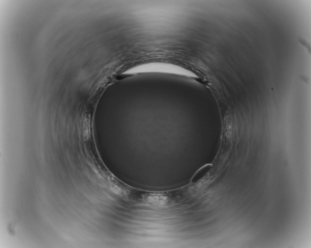 X0000099540471200805301504