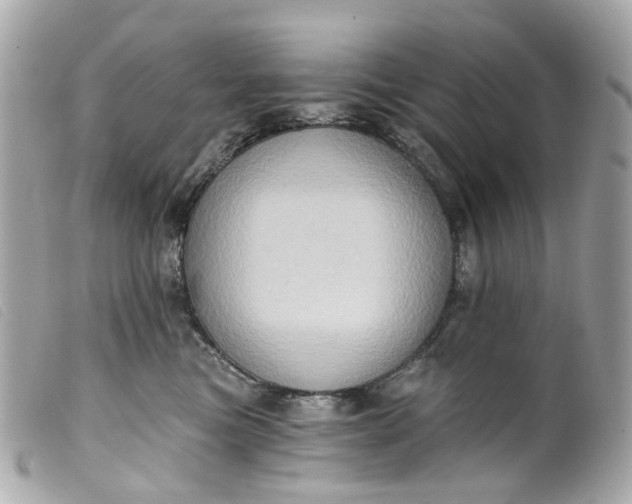 X0000099540473200805301504