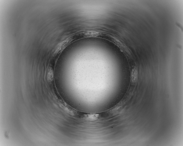 X0000099540474200805301504