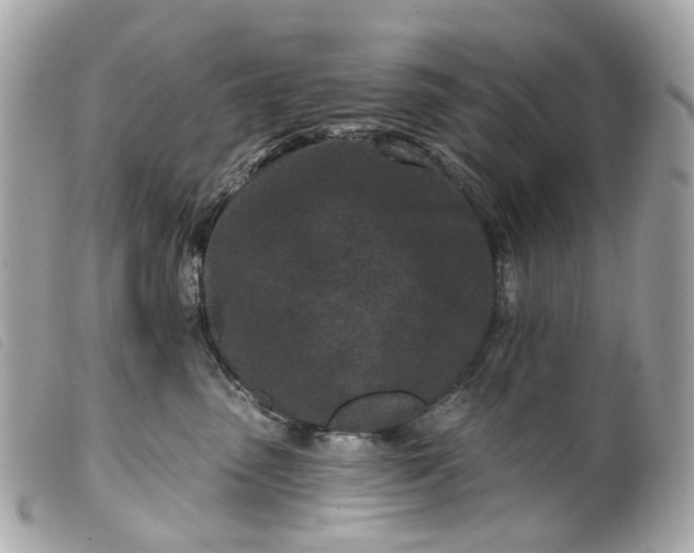 X0000099540475200805301504