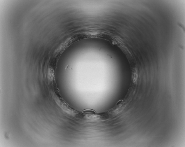 X0000099540476200805301504