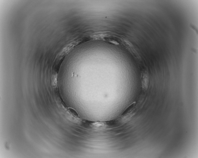 X0000099540477200805301504