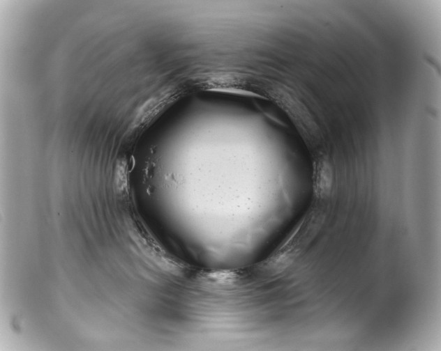 X0000099540478200805301504