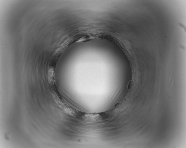 X0000099540480200805301504