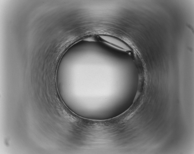 X0000099540481200805301503