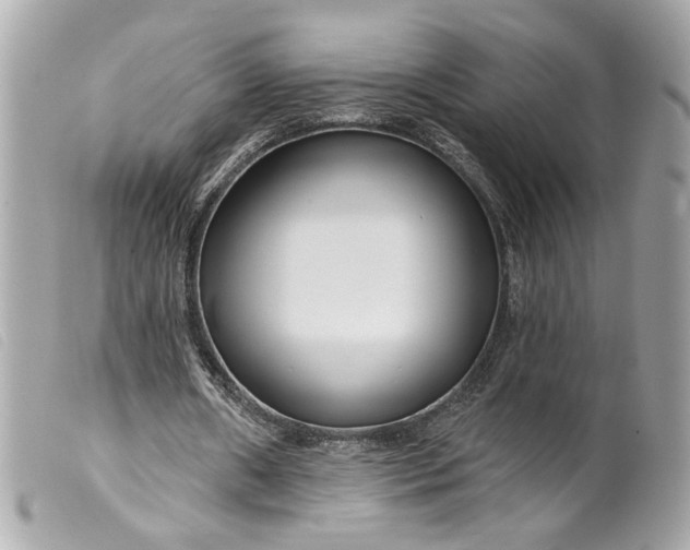 X0000099540482200805301503