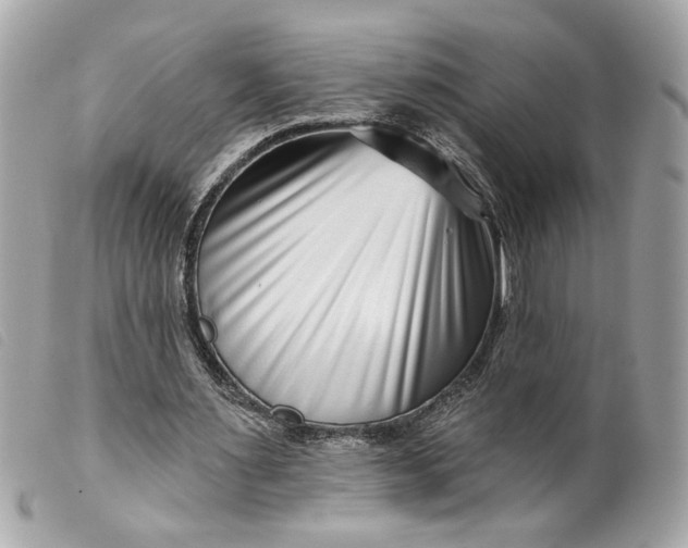 X0000099540483200805301503