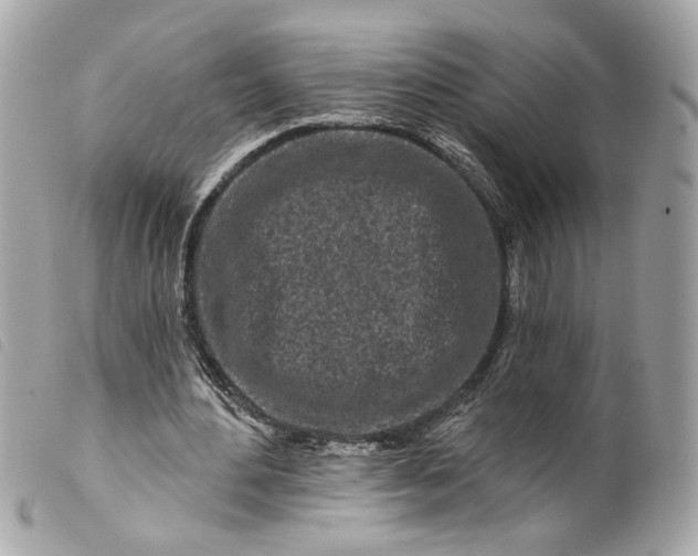 X0000099540484200805301503