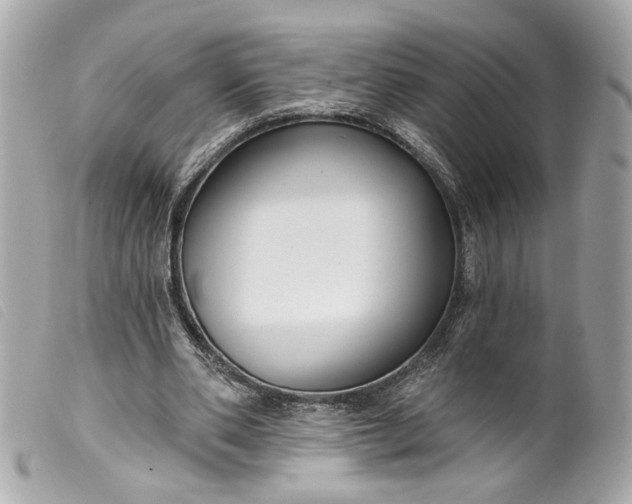 X0000099540486200805301503