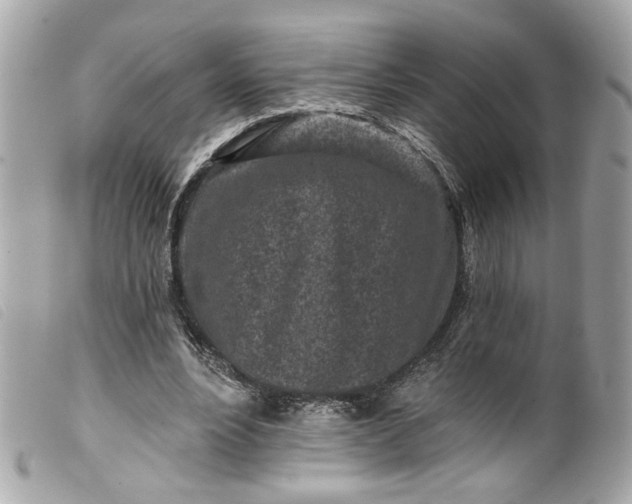 X0000099540488200805301503