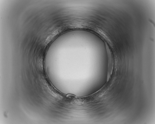 X0000099540489200805301503