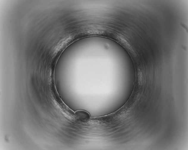 X0000099540490200805301503