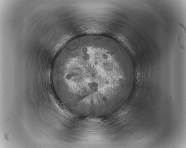 X0000099540491200805301503