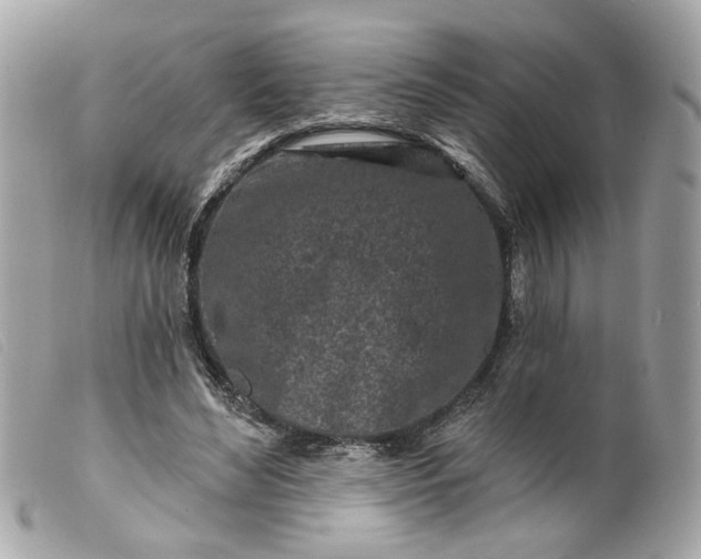 X0000099540492200805301503