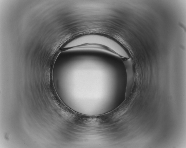 X0000099540493200805301503